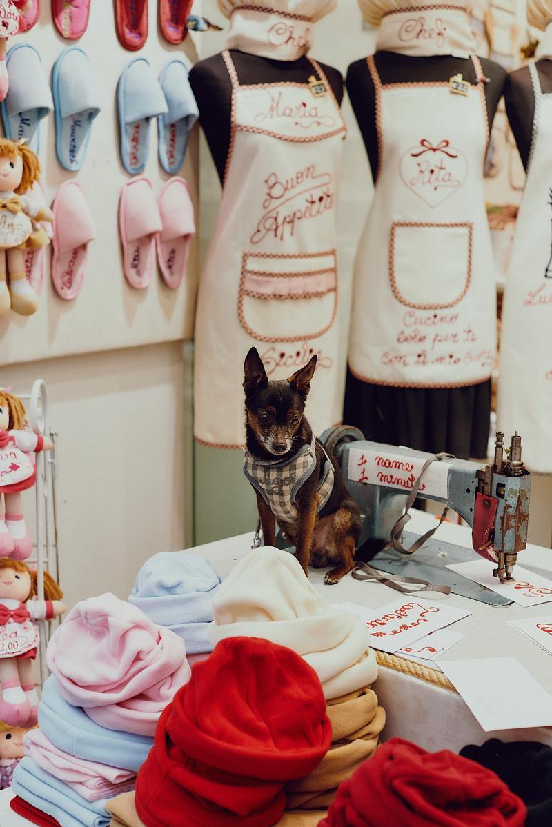 Kleiner Hund zwischen Schürzen in einem Laden in Catania – Reisereportage für die ADAC Motorwelt